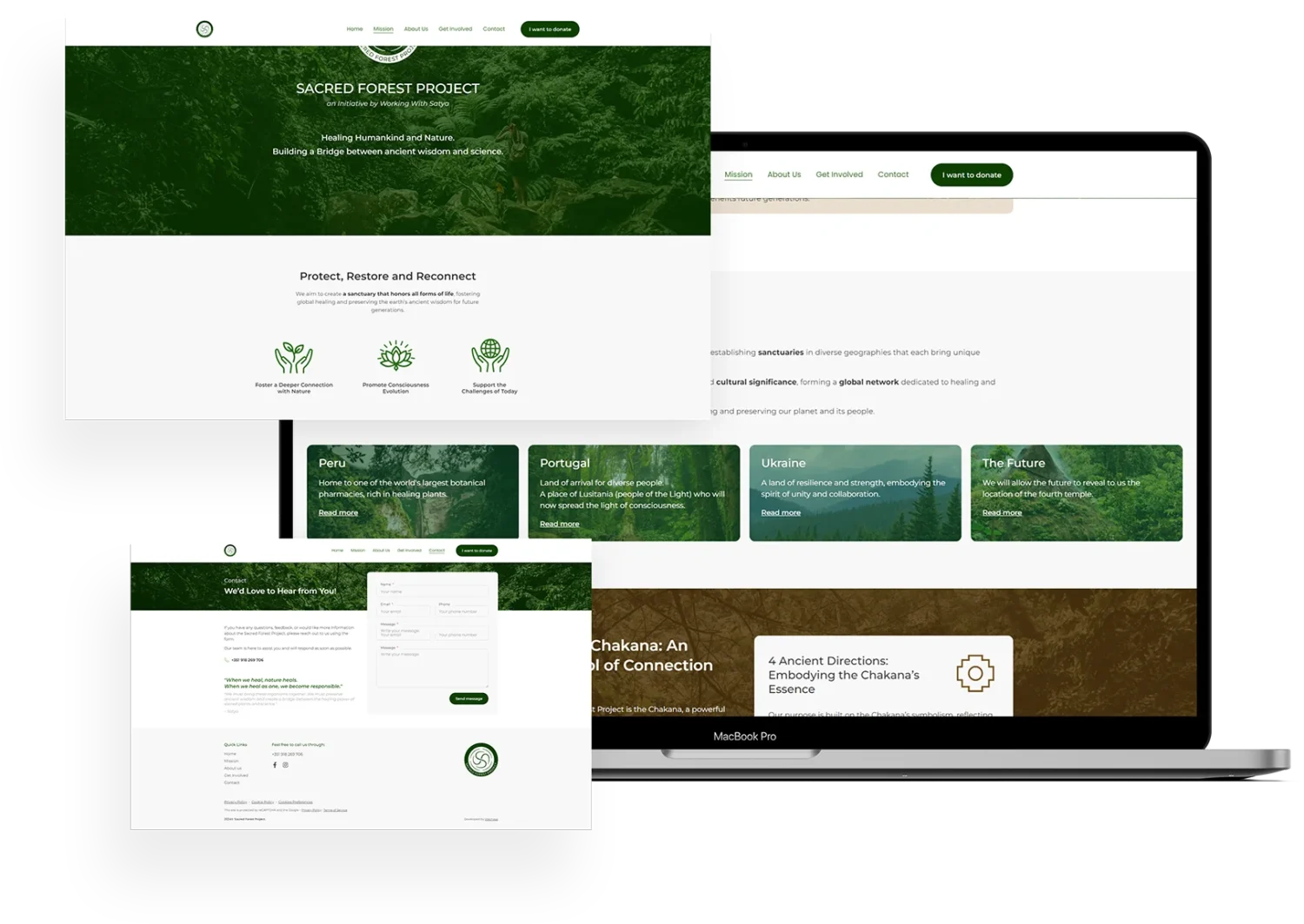 Site institucional da Sacred Forest Project criado pela empresa de web design Wechase